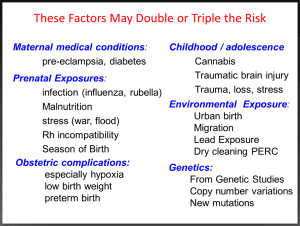 schizophrenia risk factors
