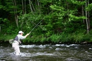 flyfish