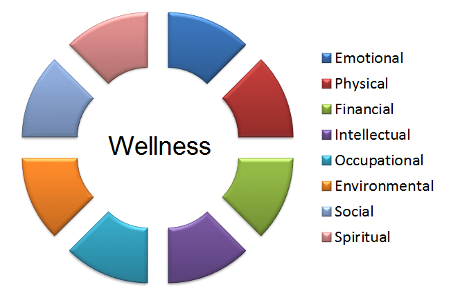 Image result for holistic approaches to mental health