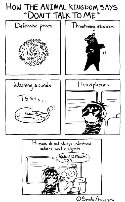 sarah andersen artist for
