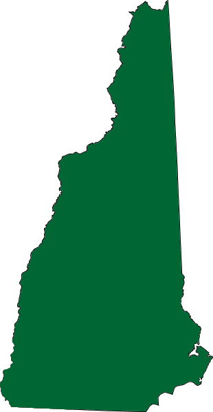 new hampshire mental health