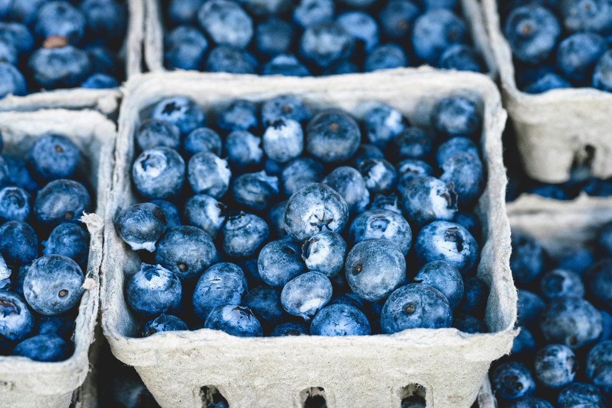 a carton of fresh picked blueberries