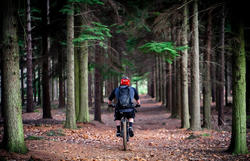 biking in the woods