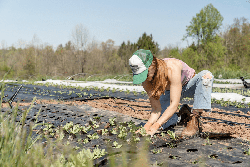 woman gardening