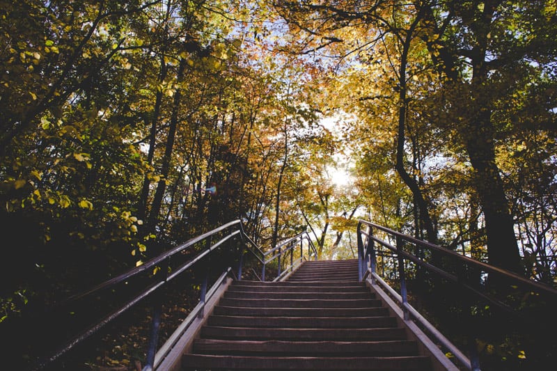 steps in woodland park