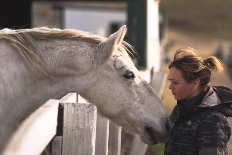 teen girl and white horse.