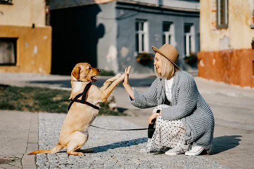 woman high fiving dog