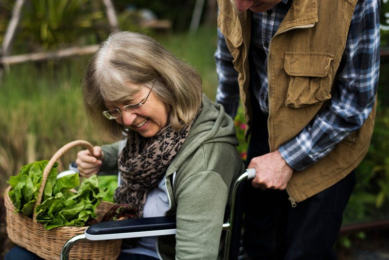 senior woman gardening in wheelchair.