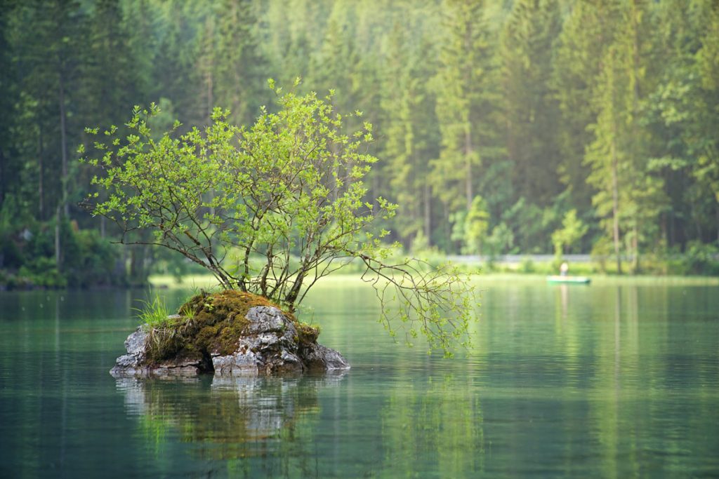 calming lake scene