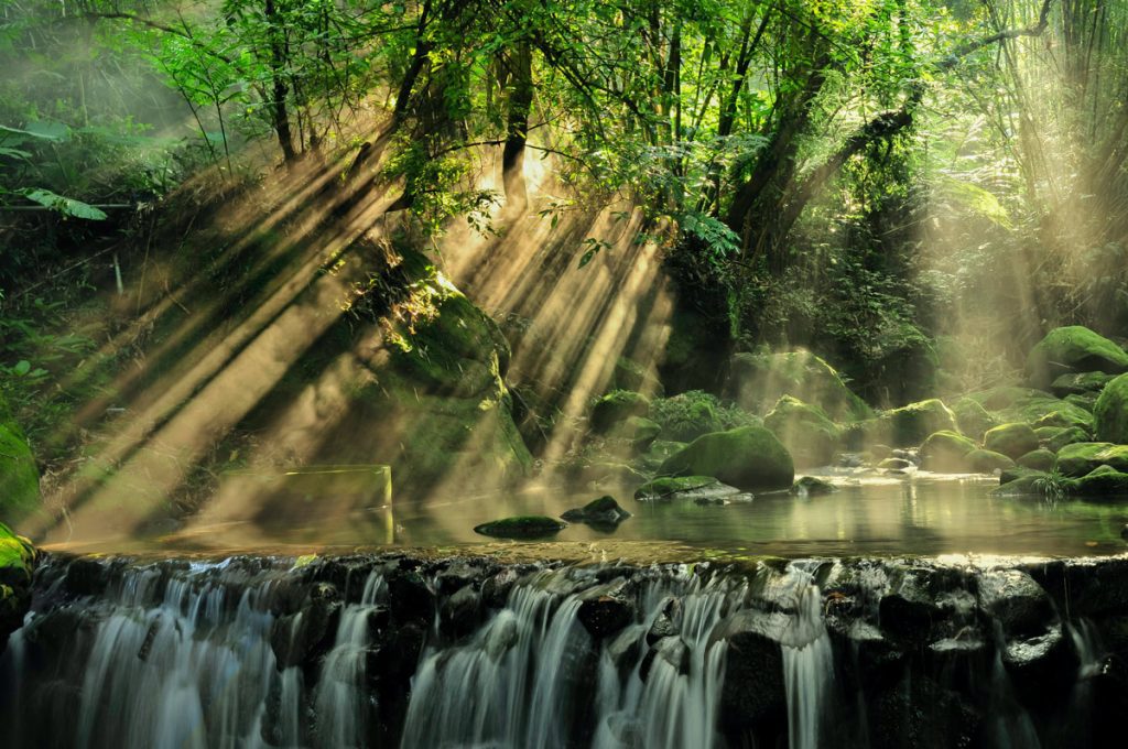 serene waterfall in woods