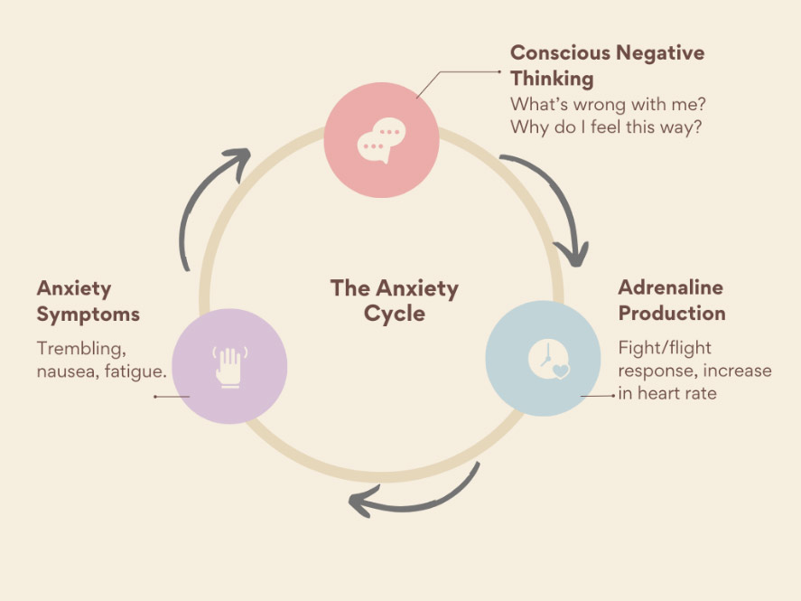 image of the anxiety cycle 1. Conscious Negative Thinking (questioning) 2. Adrenaline Production 3. Anxiety Symptoms
